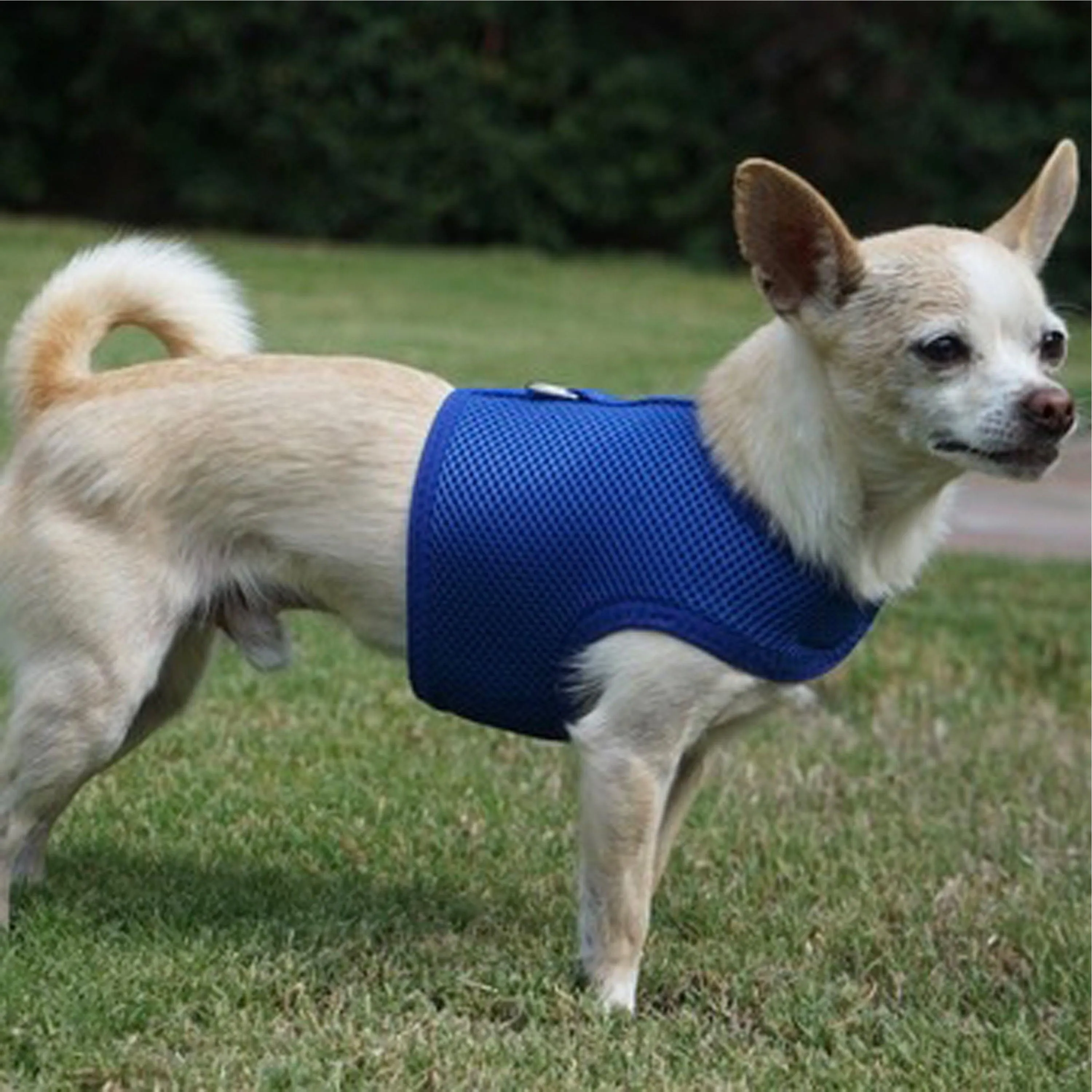 Air Mesh Dog Vest Harness - 7 Colors Customized for Safety