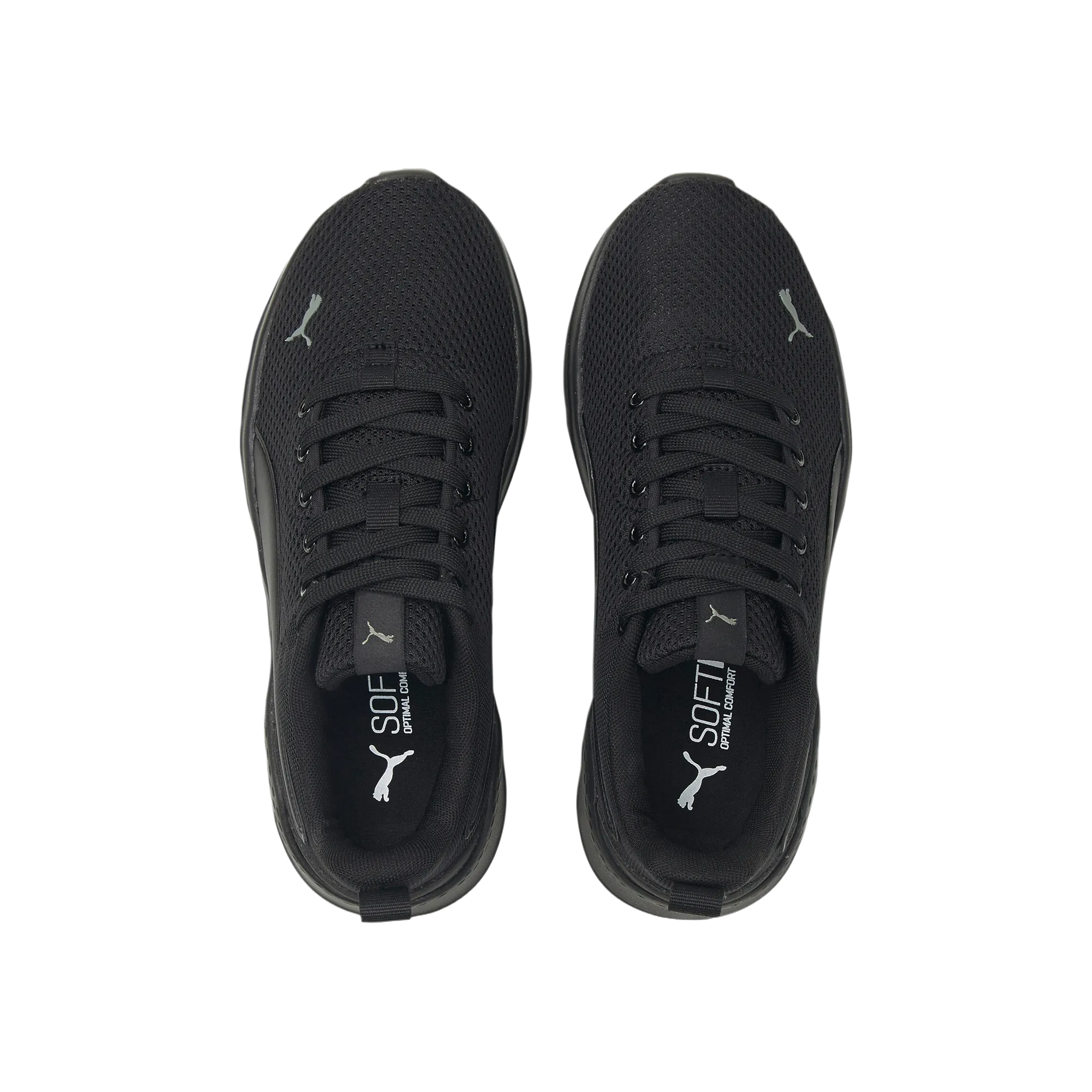 Anzarun Lite Jr