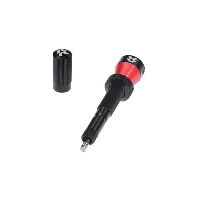 Fillmore Tubeless Valves