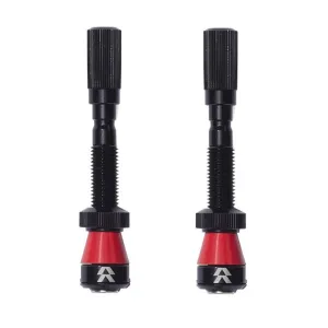 Fillmore Tubeless Valves