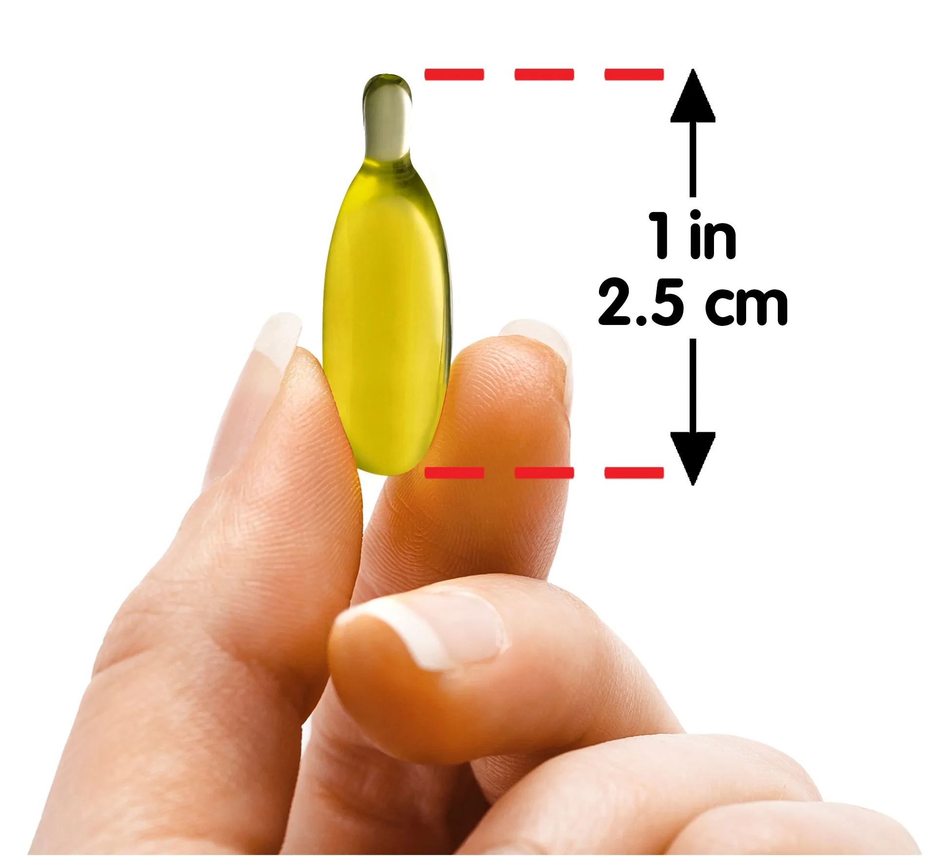 Grape Seed Oil