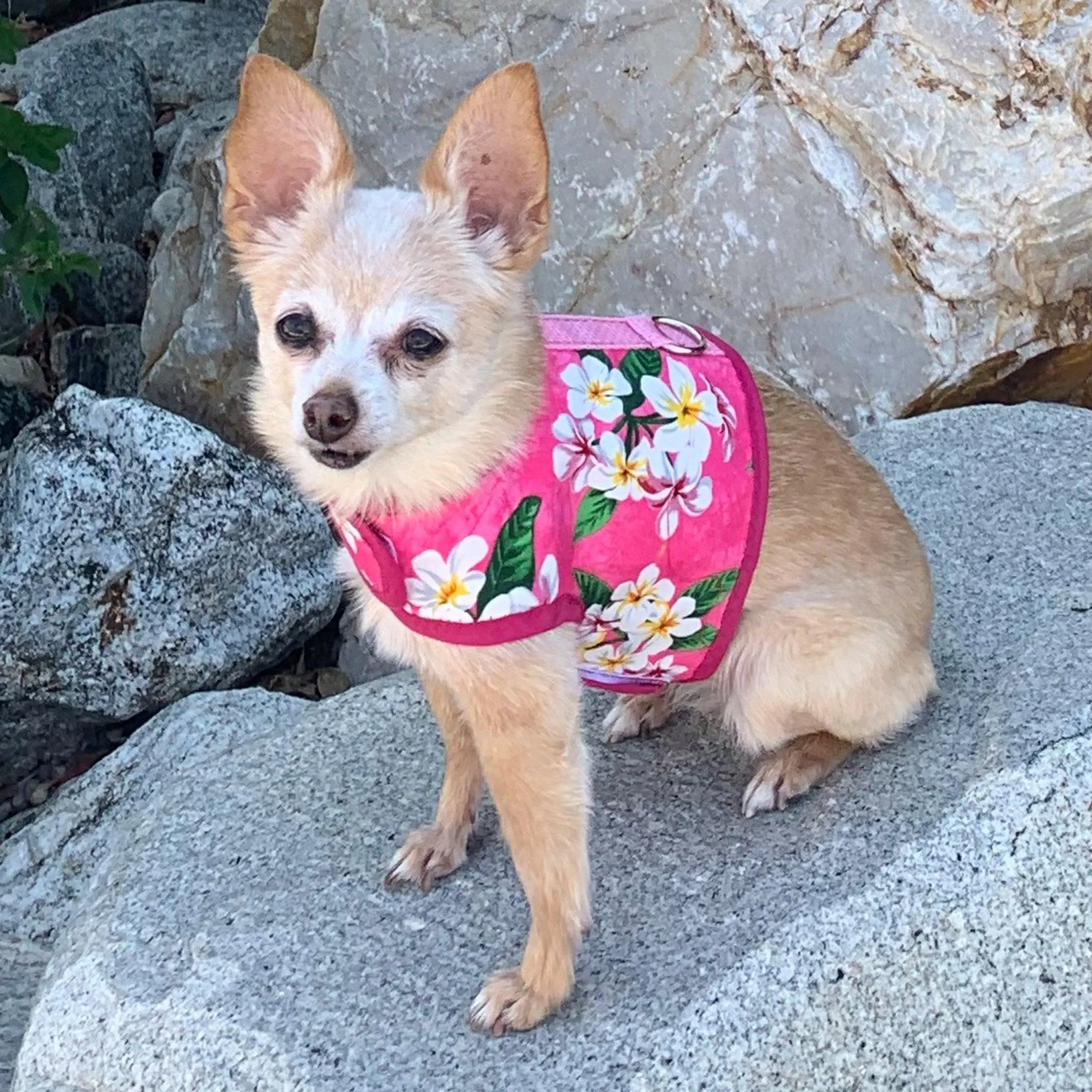 Pink Hawaiian Print Dog Vest Harness
