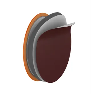 Radius 360 Sanding Discs