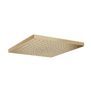 Raindance E 1.8 Gpm Shower Head - Wall Or Ceiling Mount - 12" Brass/Brushed Bronze