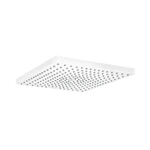 Raindance E 1.8 Gpm Shower Head - Wall Or Ceiling Mount - 12" Brass/Matt White