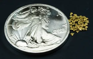 Silver 1  Oz Coin Walking Liberty .999 Silver   50 Piece Lot of #16 Mesh