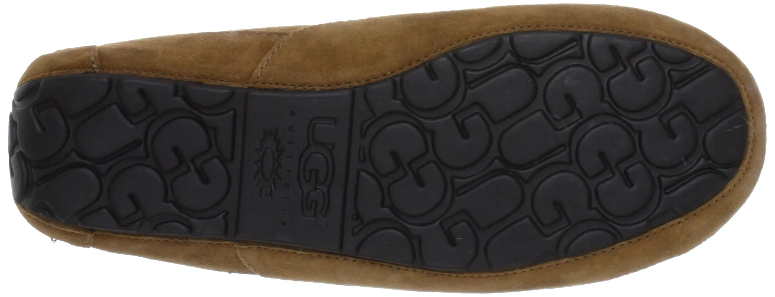 UGG Ascot