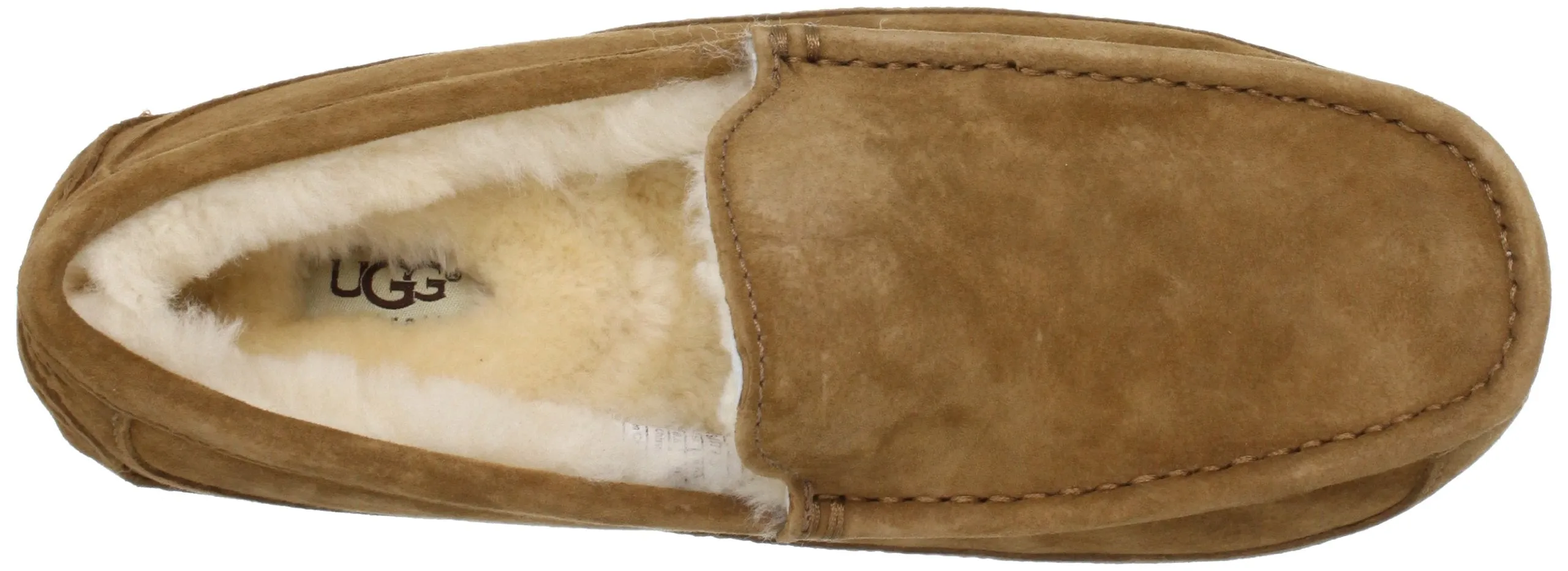 UGG Ascot