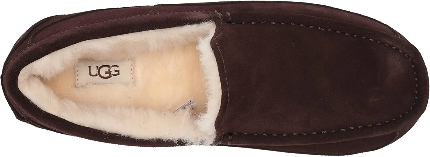 UGG Ascot