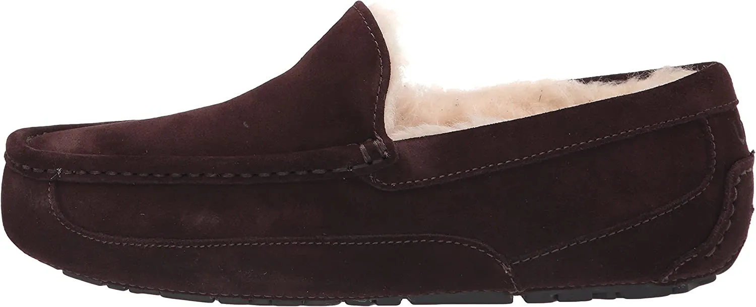 UGG Ascot